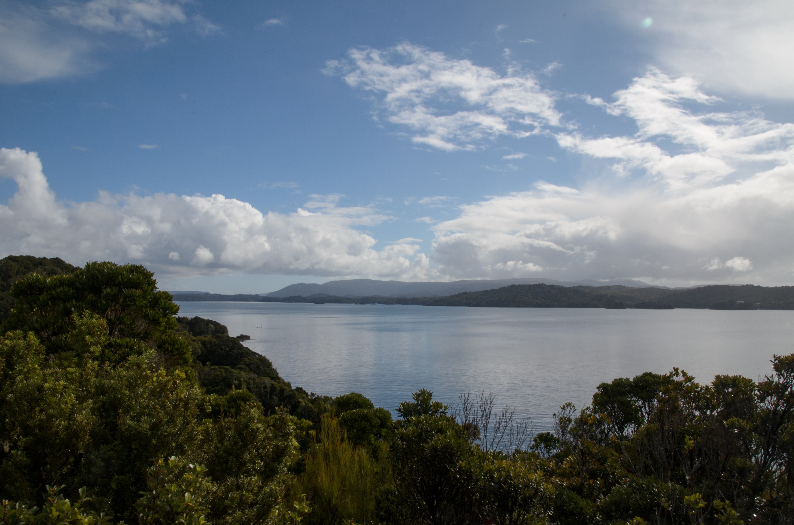 DSC_3294 – Adventure, Crispin, Island, March 2017, National Park, New, New Zealand, Rakiura, South, Stewart, Zealand
